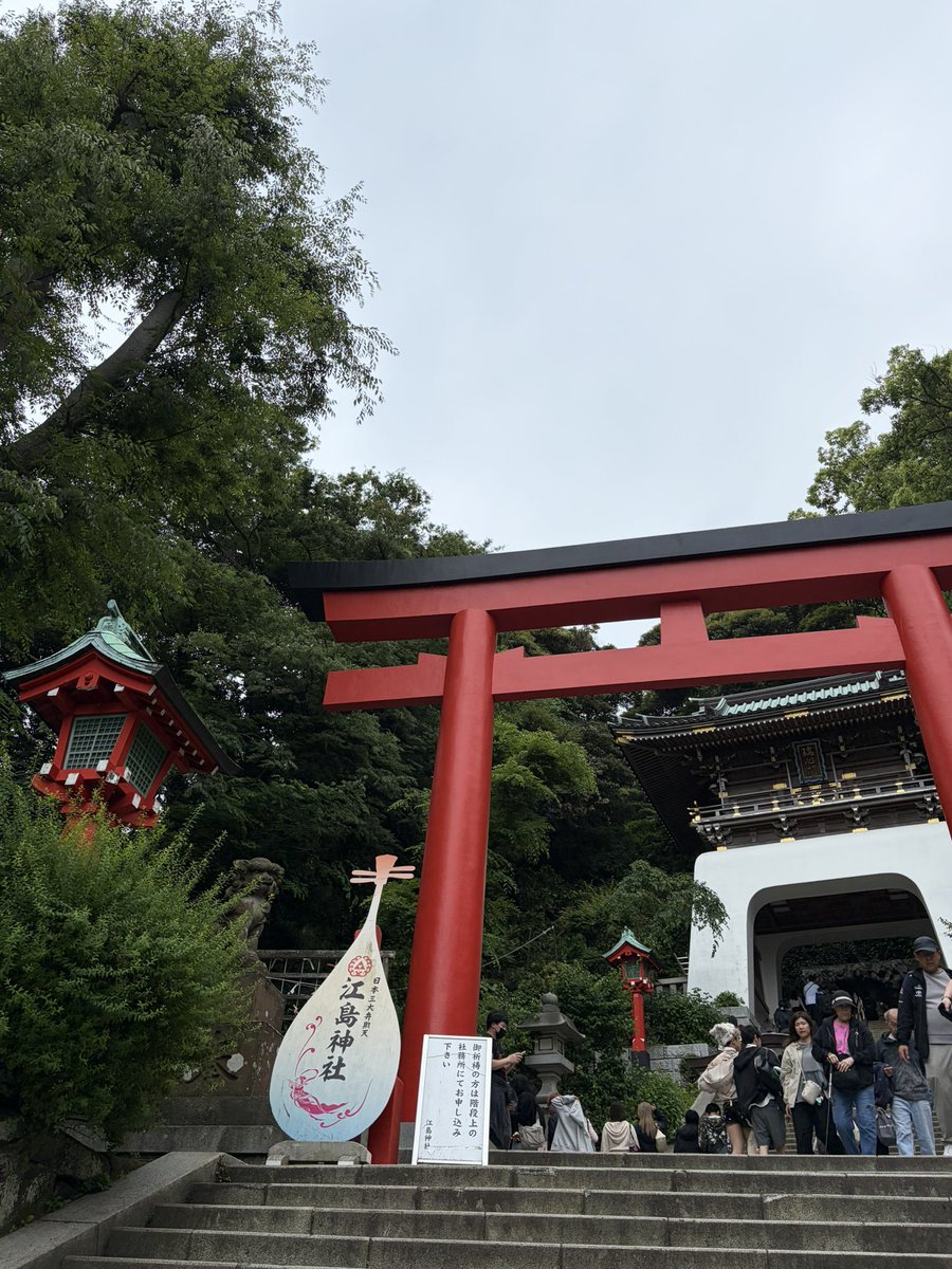 まころん tweet media