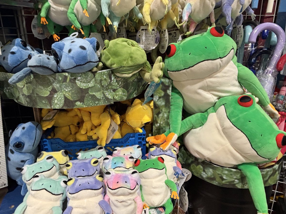 vvkomatsu's tweet photo. 🐸：ゲコゲコ…ゲコッ…コ…

カラフルなカエル入荷しました🐸🎶

#ヴィレッジヴァンガード
#カエル https://t.co/RTkY2phc6A