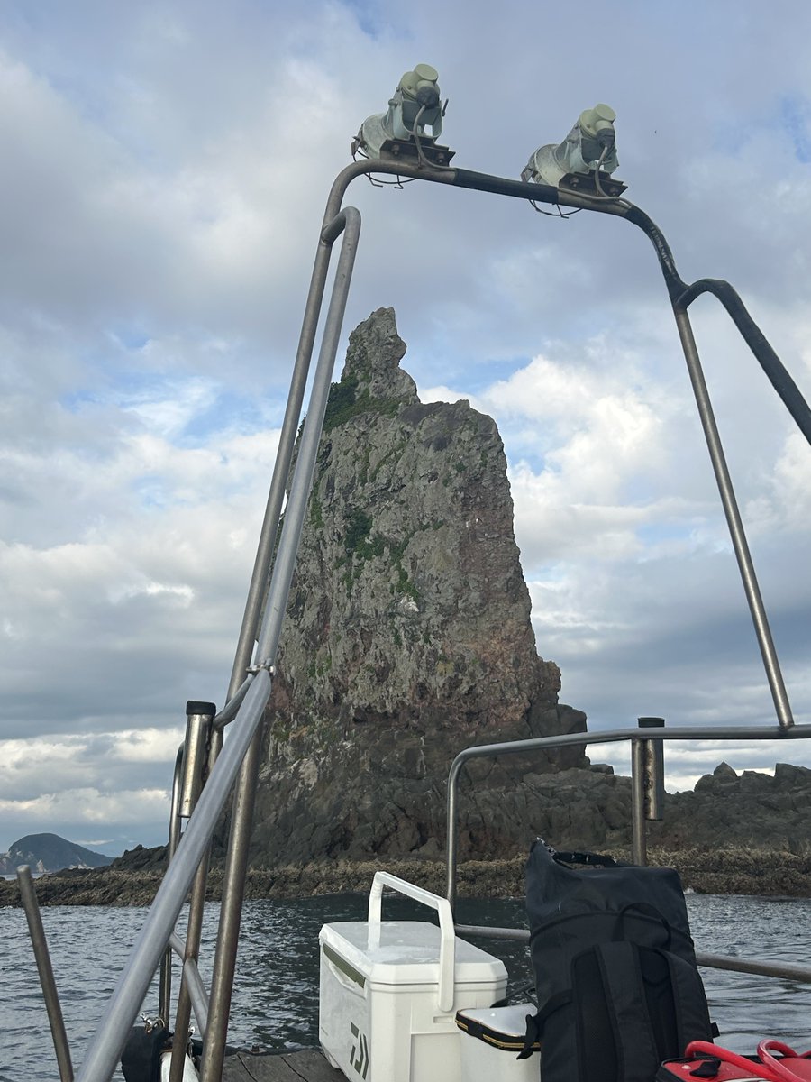 オサシミ tweet media