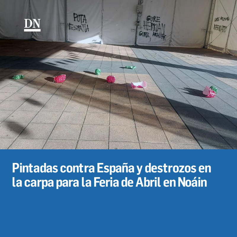 Diario de Navarra tweet media
