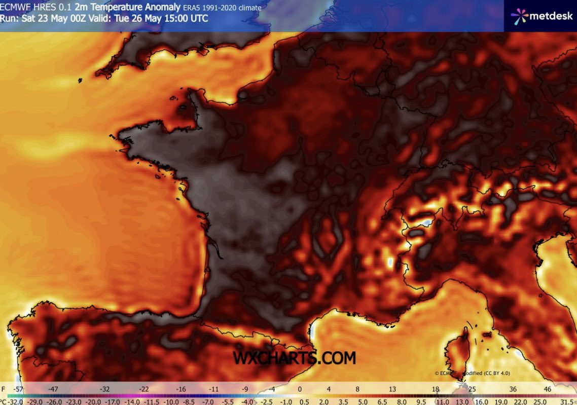 Chems Météo tweet media