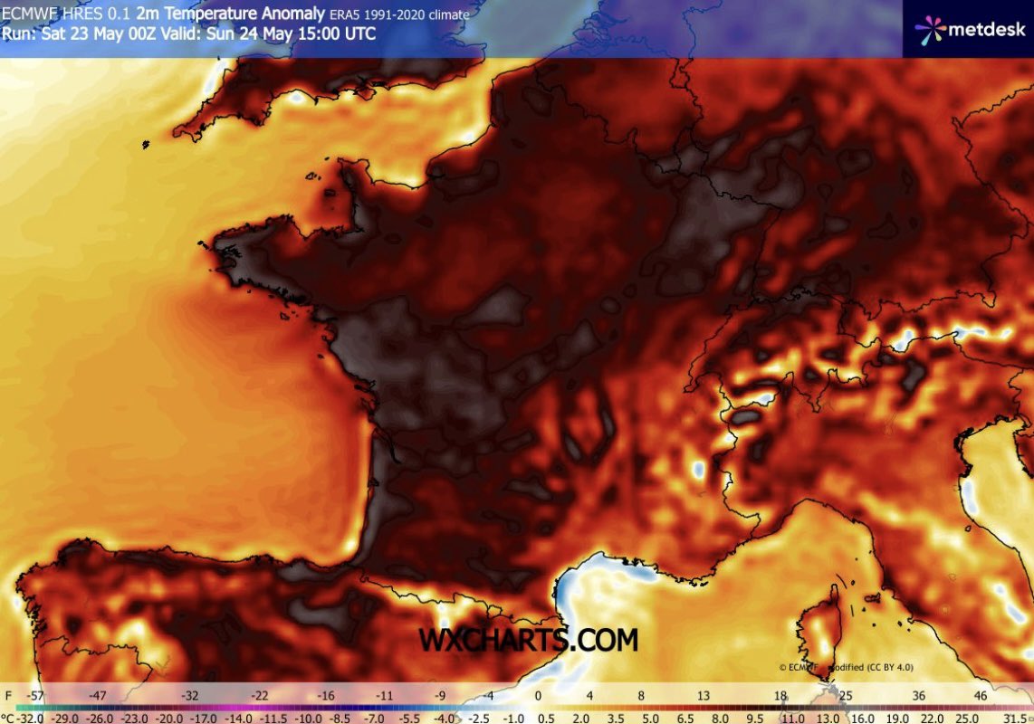 Chems Météo tweet media