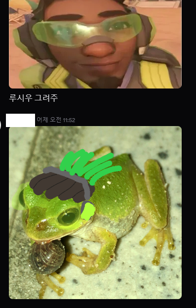 토종개구리 tweet media