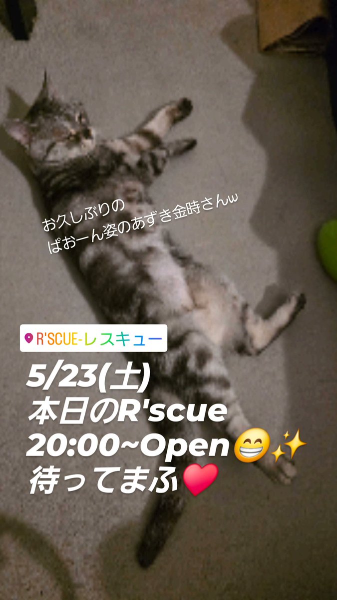 rinooooo27's tweet photo. 今夜もよろしくお願いします❤️
待ってるね❤️

R'scue
078-599-8383
https://t.co/UMJcAX4iLB

#神戸三宮バー
#神戸ミックスバー
#三宮レスキュー 
#神戸ミックスバーレスキュー 
#womanonlyparty
#神戸イベントTVANTENA 
#神戸ビアンバー
#LGBTQ https://t.co/KyG0xlvrYO