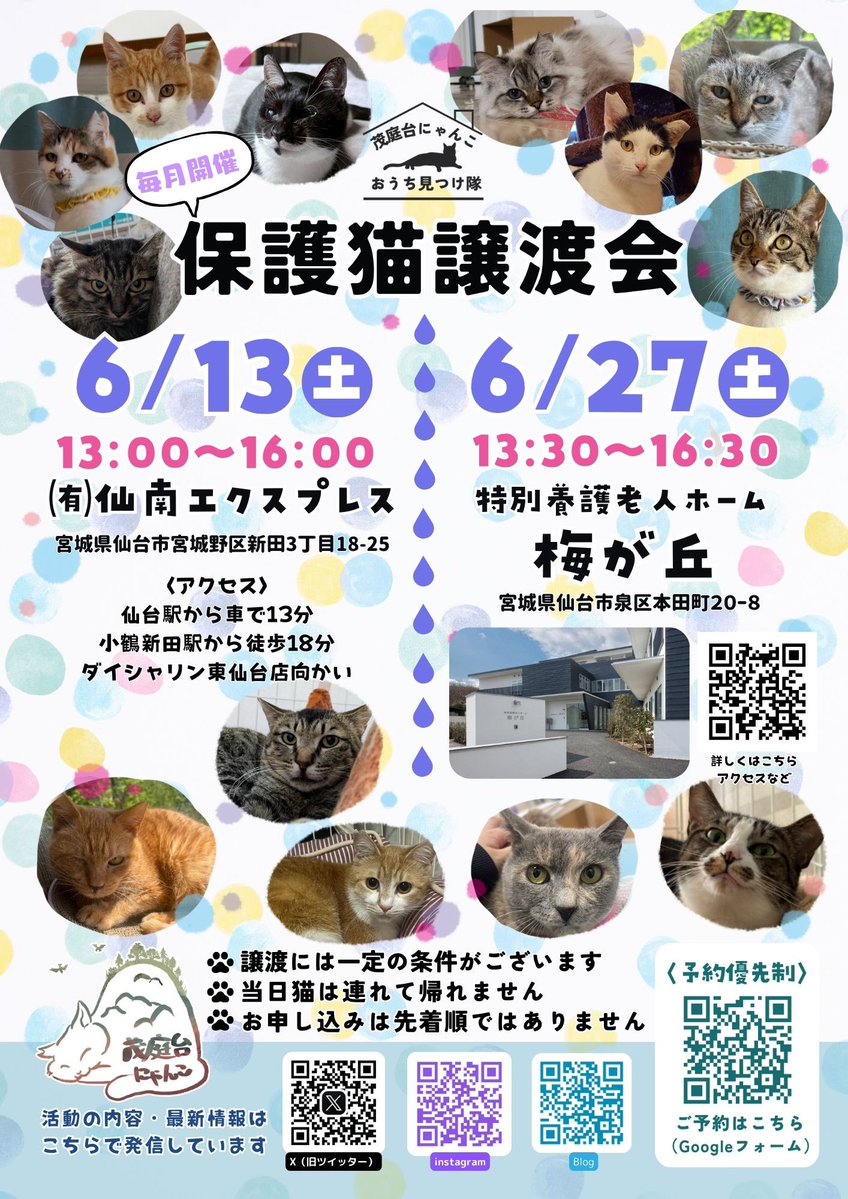 茂庭台にゃんこ〜おうち見つけ隊〜@6/13(土)保護猫譲渡会 tweet media