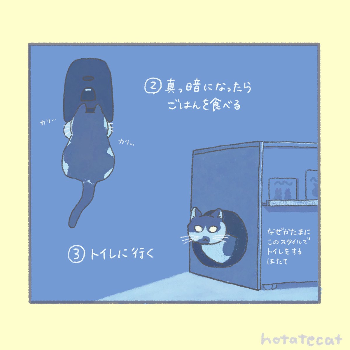 hotatecat tweet media