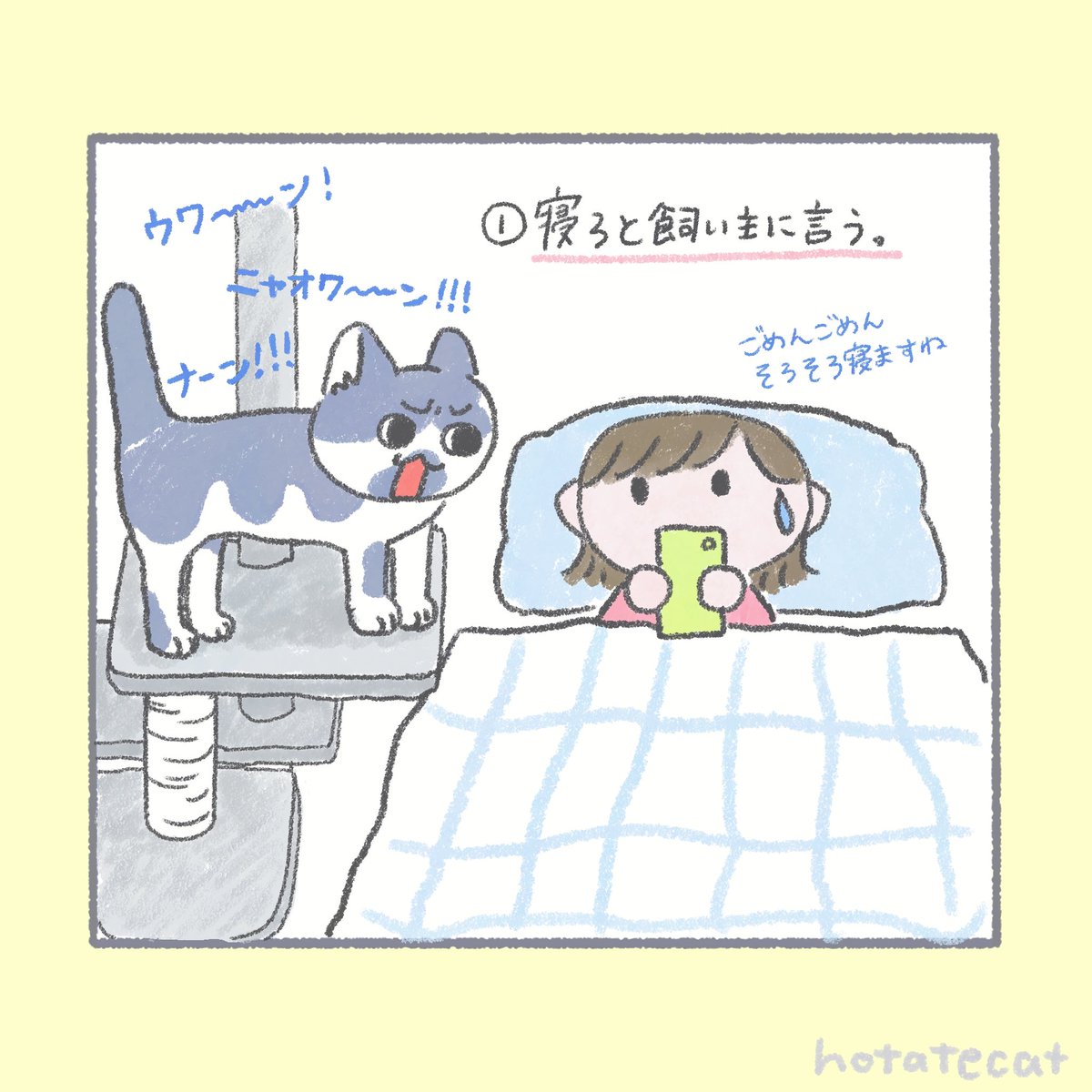 hotatecat tweet media