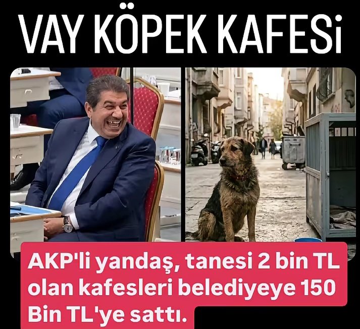 ☀️Atacıkız🇹🇷 TÜRKÜM DOĞRUYUM ÇALIŞKANIM tweet media