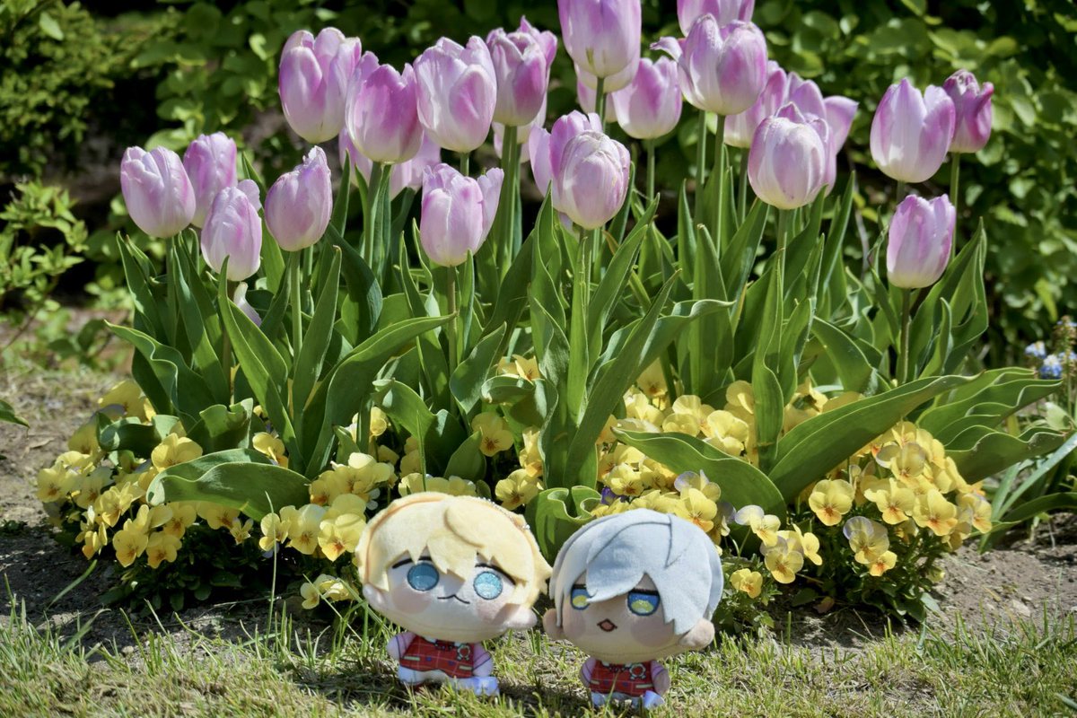 sohrhrm8's tweet photo. 🚮⸜🌷︎⸝ https://t.co/ubyrMhRz1q