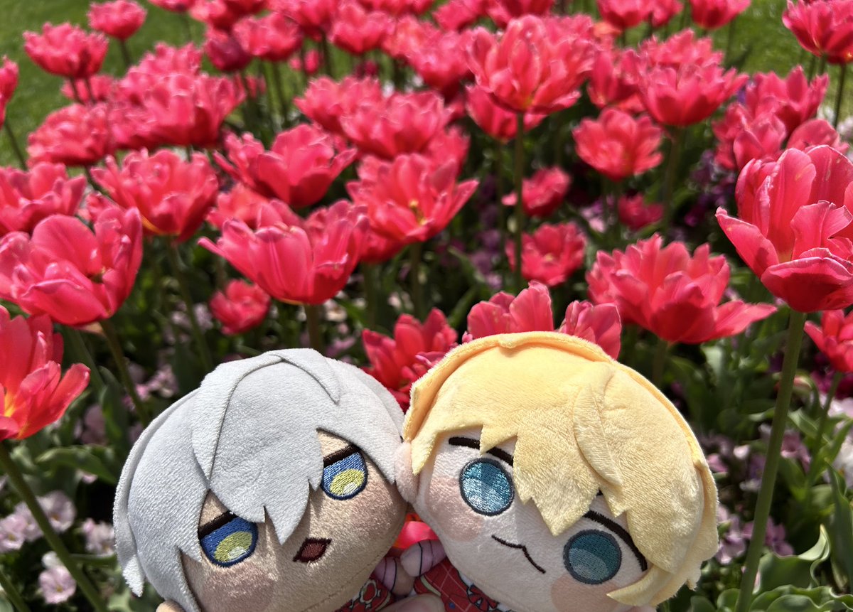 sohrhrm8's tweet photo. 🚮⸜🌷︎⸝ https://t.co/ubyrMhRz1q