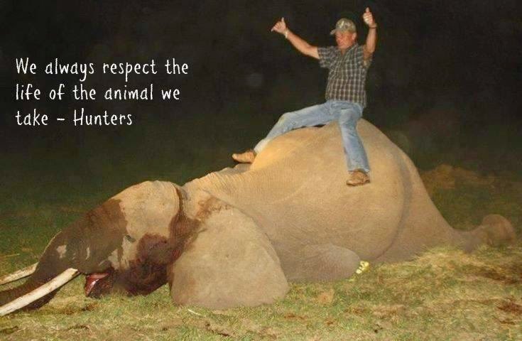 PROTECT ALL WILDLIFE tweet media