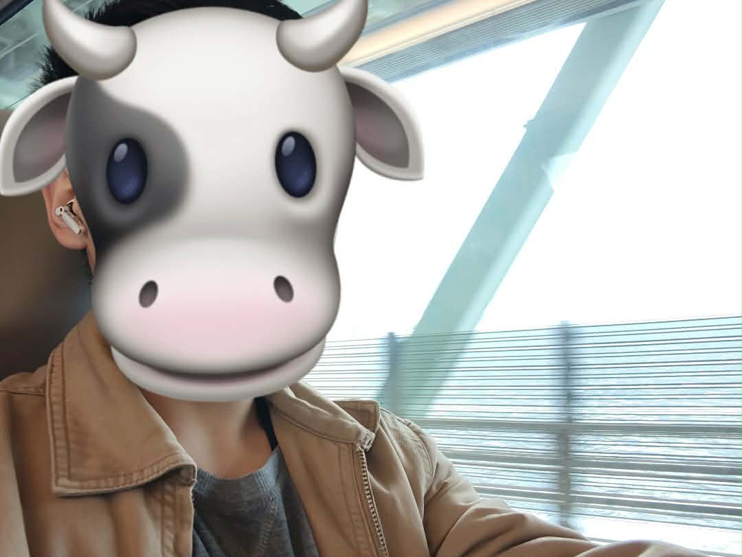 HobeBeef 🐄 🍖 tweet media