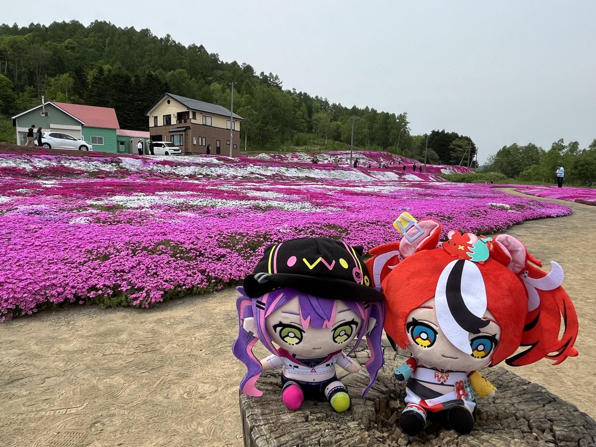 ジェロム👾🫶🌸🎲 tweet media
