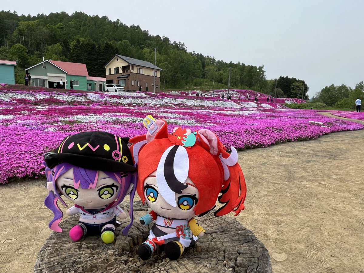 ジェロム👾🫶🌸🎲 tweet media