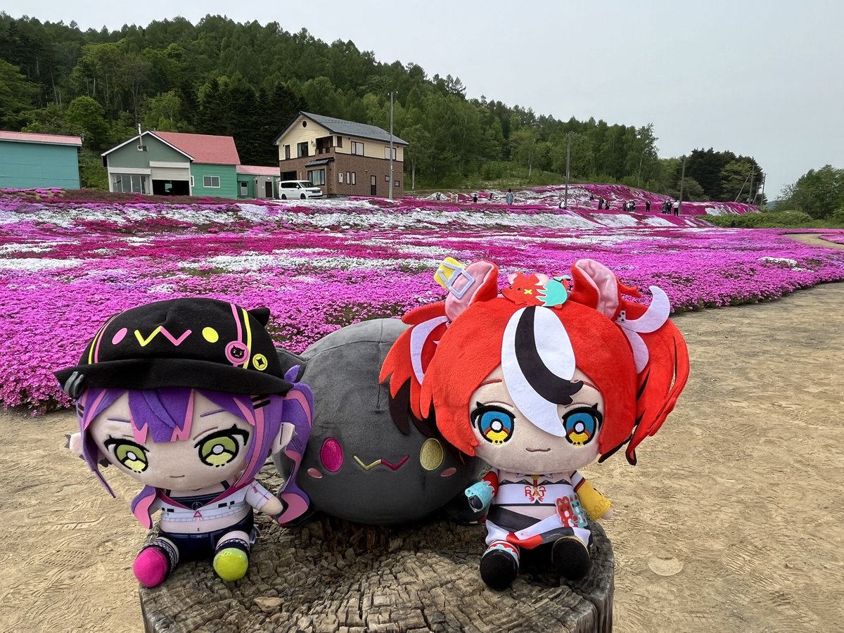 ジェロム👾🫶🌸🎲 tweet media