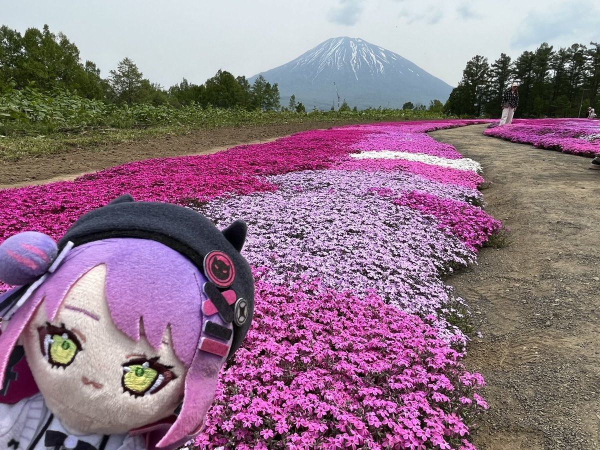 ジェロム👾🫶🌸🎲 tweet media