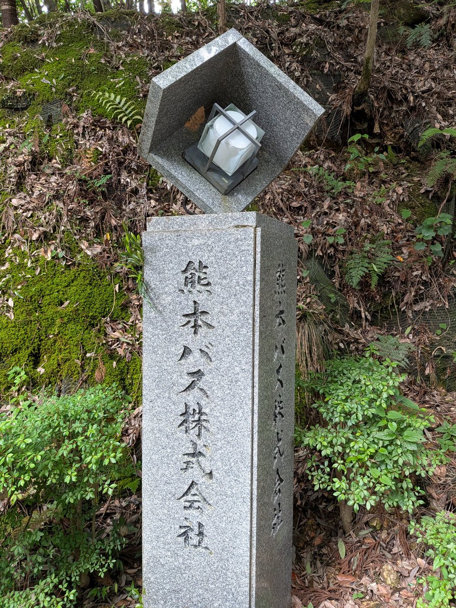 最弱王くまつ tweet media