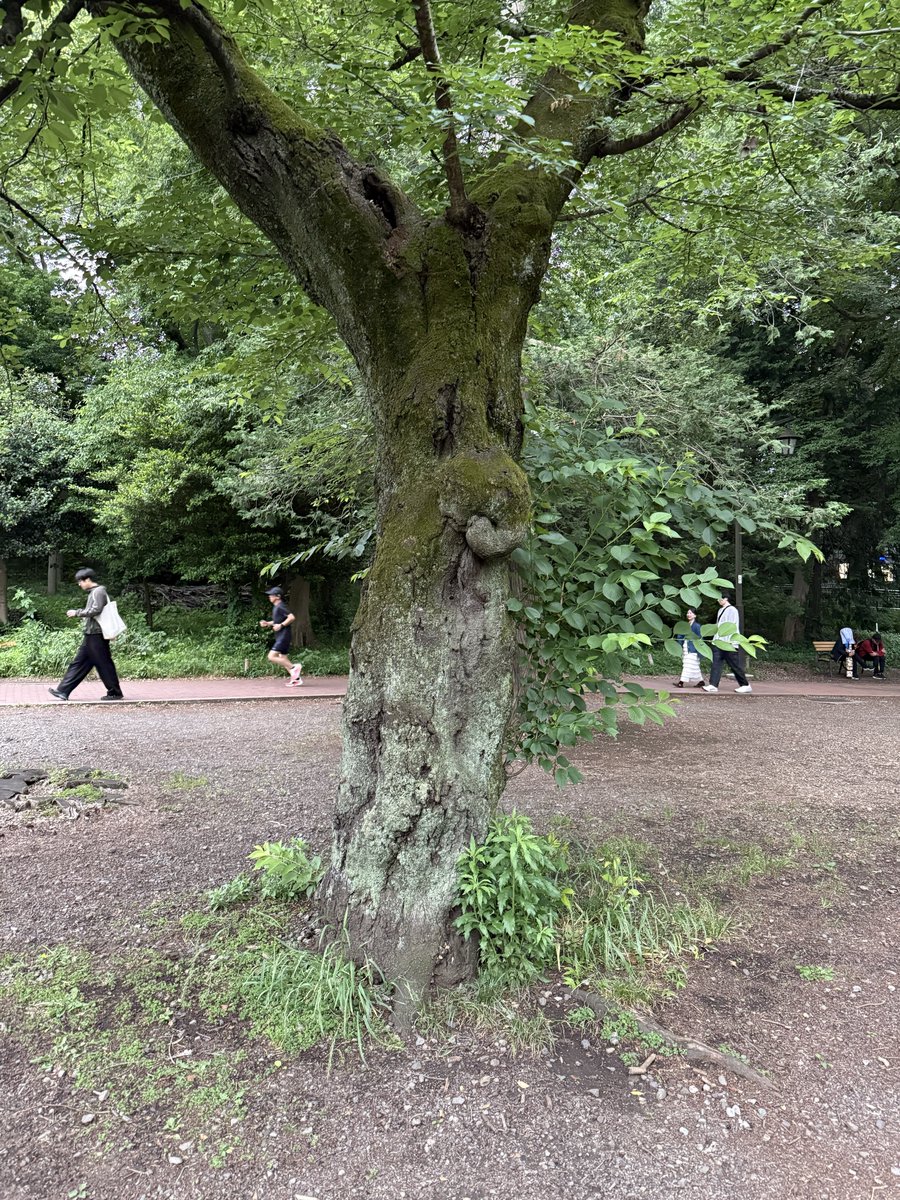 安倍吉俊/yoshitoshi ABe (@abfly) / Posts / X