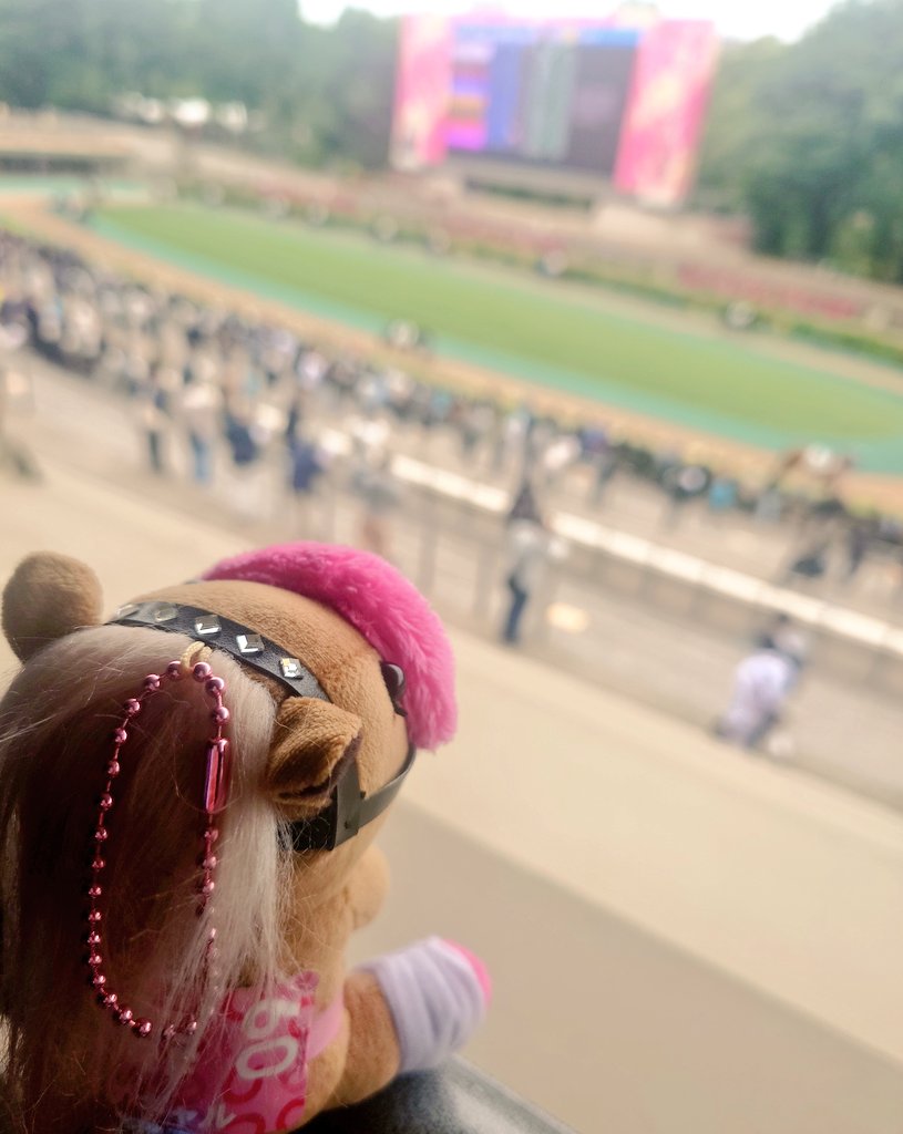 DON12241's tweet photo. 競馬⊇工ナ=丿ιー☆ぁヶ″ https://t.co/5depyWtf7F