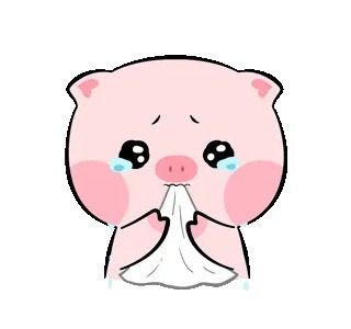 ปอก นาราวิต เลิศราตโกศม💤🐨🇲🇲 tweet media