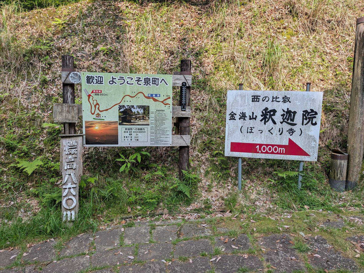 最弱王くまつ tweet media