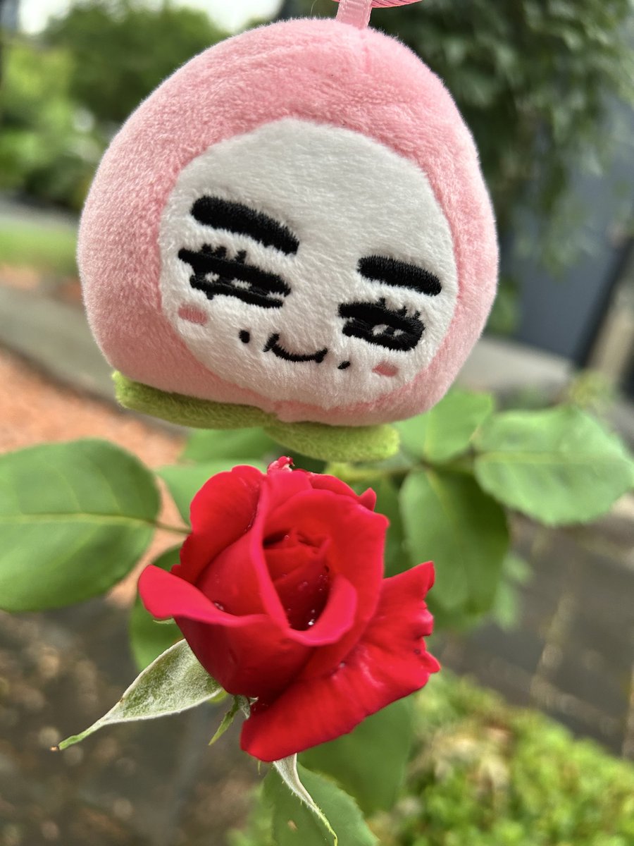 みぎじぇ'𝓙' tweet media