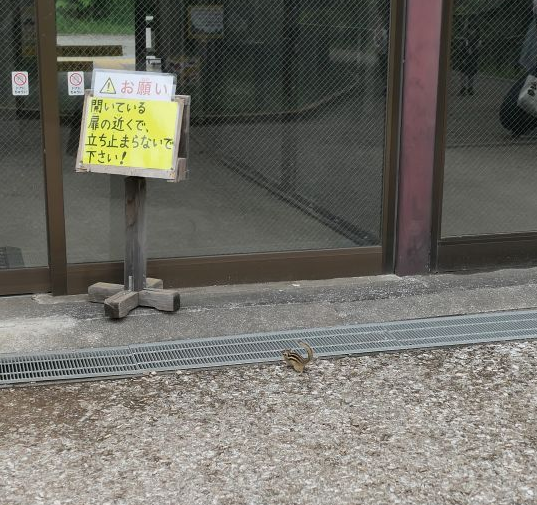たらたら tweet media
