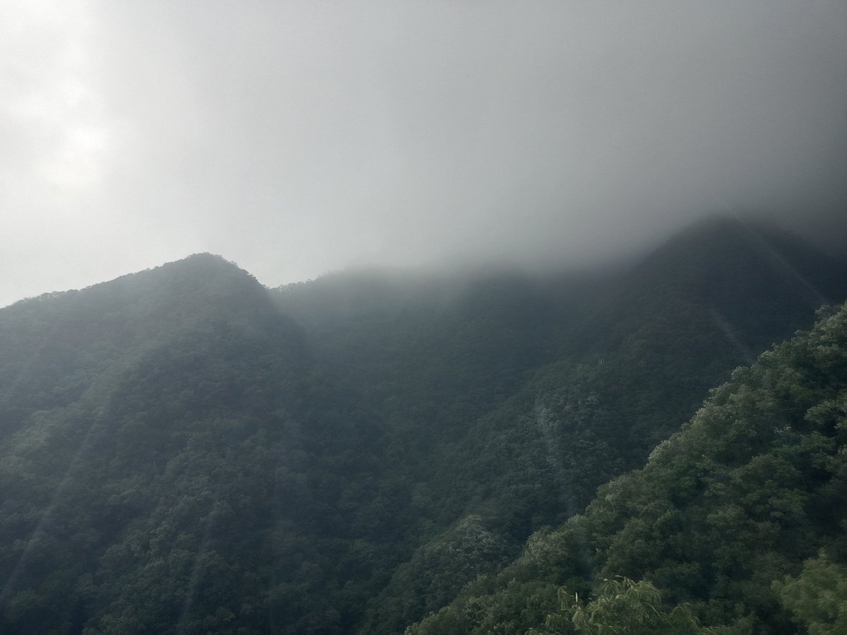 oqule48639's tweet photo. 仙气飘飘 https://t.co/X3Nodu6afq