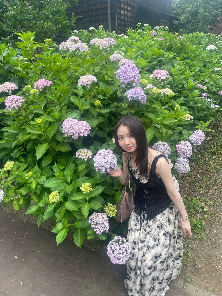 本間愛波 tweet media