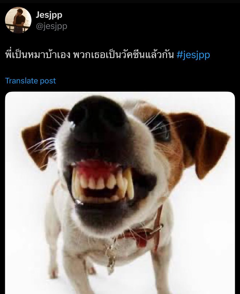 ⋆⑅ 𝘔𝘢𝘮𝘢 𝘱𝘦𝘢𝘳𝘭∘ꕤ tweet media