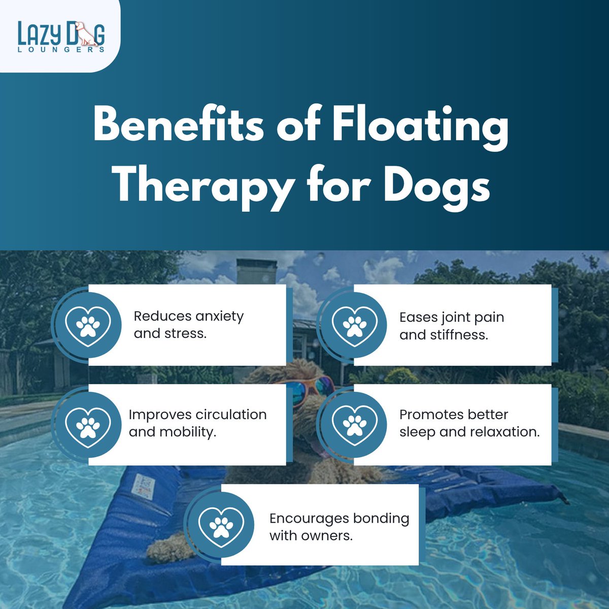 lazydogloungers's tweet photo. Sometimes the best thing for a pup is simply floating beside the people they love. 💙

👉 Discover more at https://t.co/RsKCiuKZm2

#LazyDogLoungers #FloatingTherapy #DogWellness #DogSummerVibes #FloatingDogs #PoolsidePup #PupApproved #DogsOfInstagram https://t.co/eCT5p9gLSP