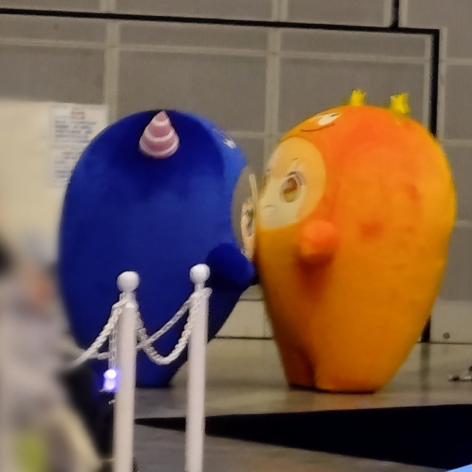 たまごやき🍊 tweet media