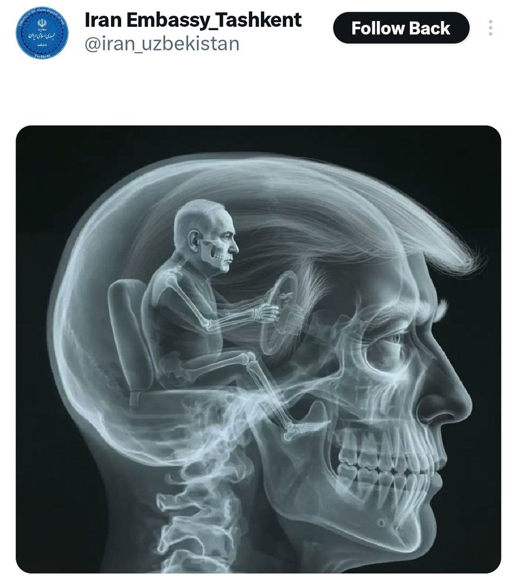 RT tweet media