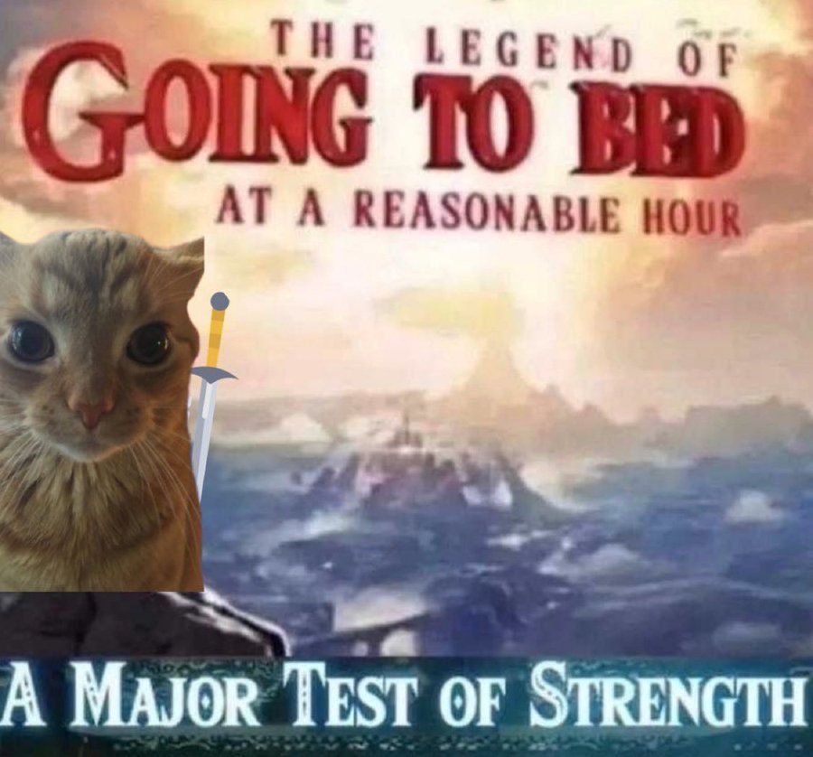 cats being cats tweet media