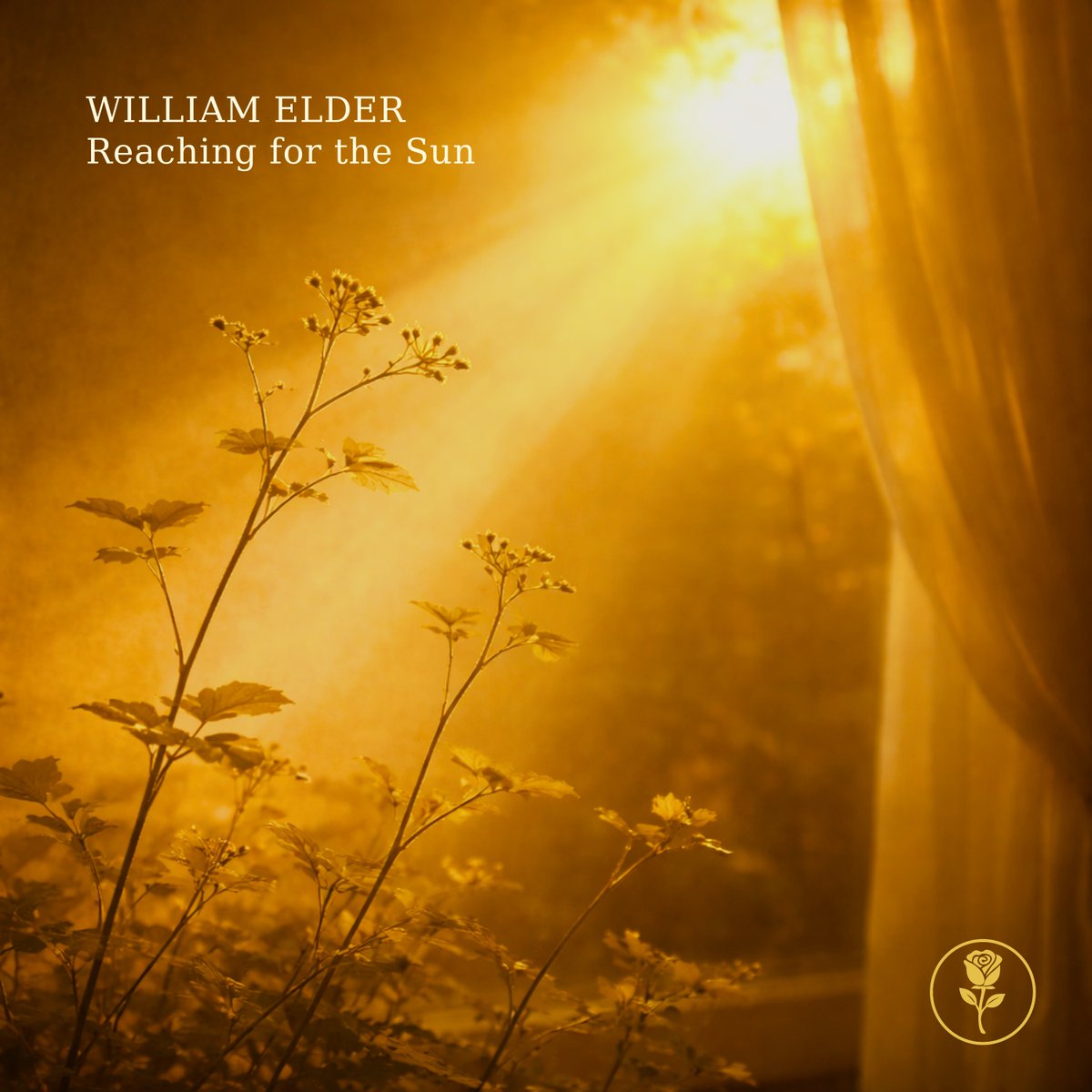 Eldar_Classica's tweet photo. Yesterday saw yet another solo piano release of mine!

Reaching for the Sun is an optimistic tune with a simple yet blissful melody. Big thanks to the beautiful team over at Yellow Rose Records and to Dario Crisman for handling the recording.

https://t.co/UaAMM4NCI4 https://t.co/5TLxTL5a7f