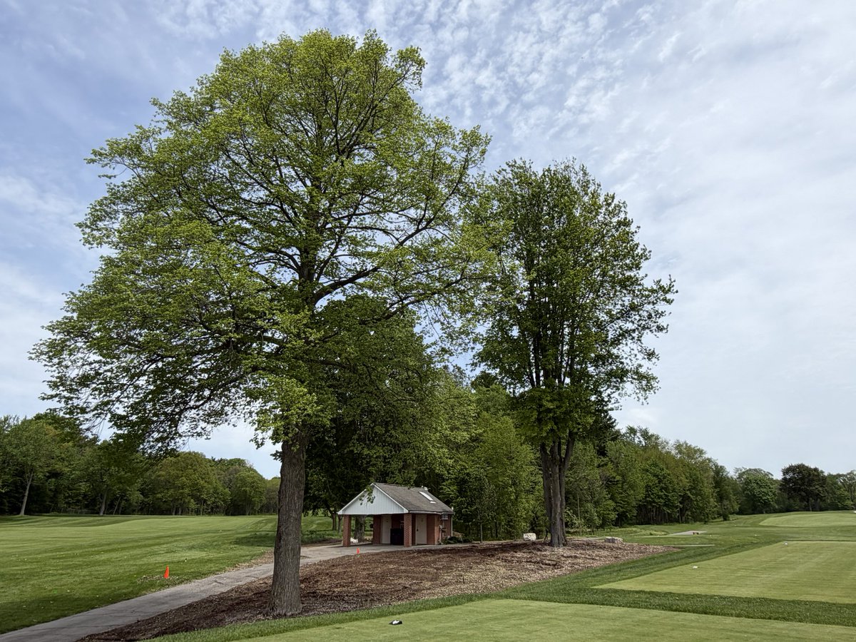 LHCC Grounds tweet media