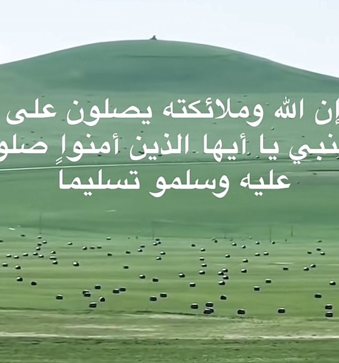 ساره tweet media
