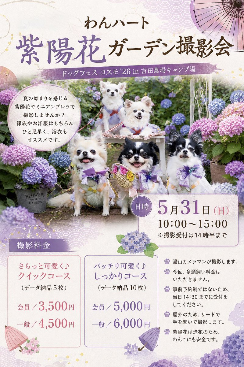 北海道犬猫情報 わんにゃんハート【公式】 on X: 