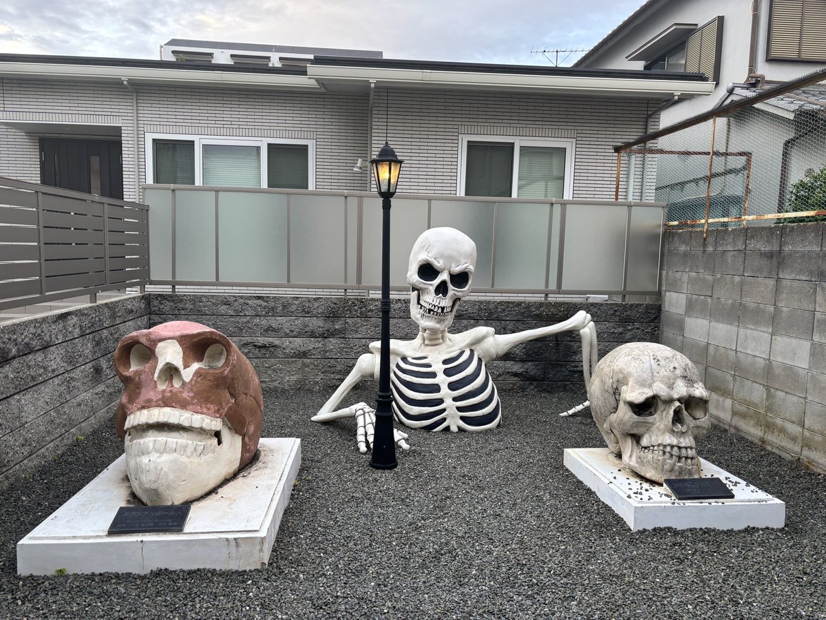 シャレコーベ・ミュージアム (@skull_museum) / Posts / X