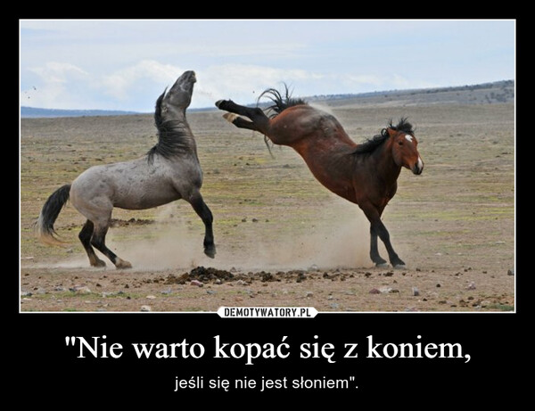 Cool_d tweet media