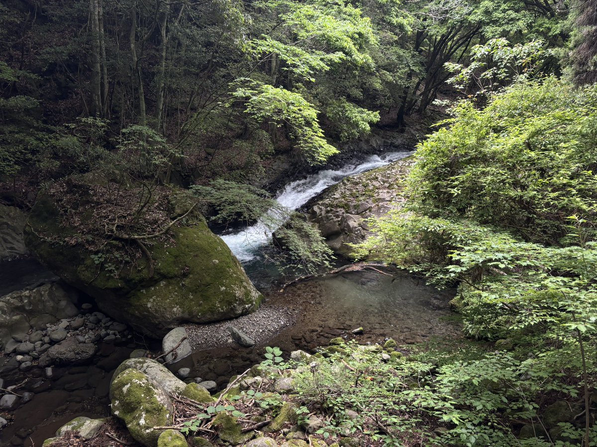 japantravelbug's tweet photo. Today’s adventure, wishing everyone a great weekend! https://t.co/02XtFbb6Fy