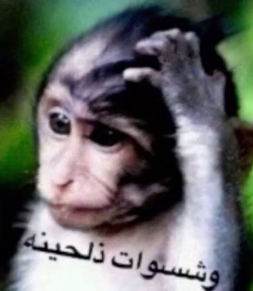 دحوم م م م م م م tweet media