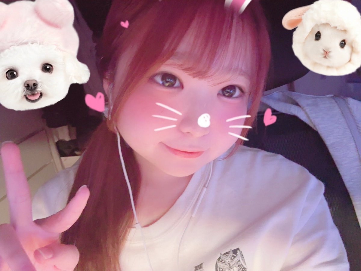ゴーサプレミントン tweet media