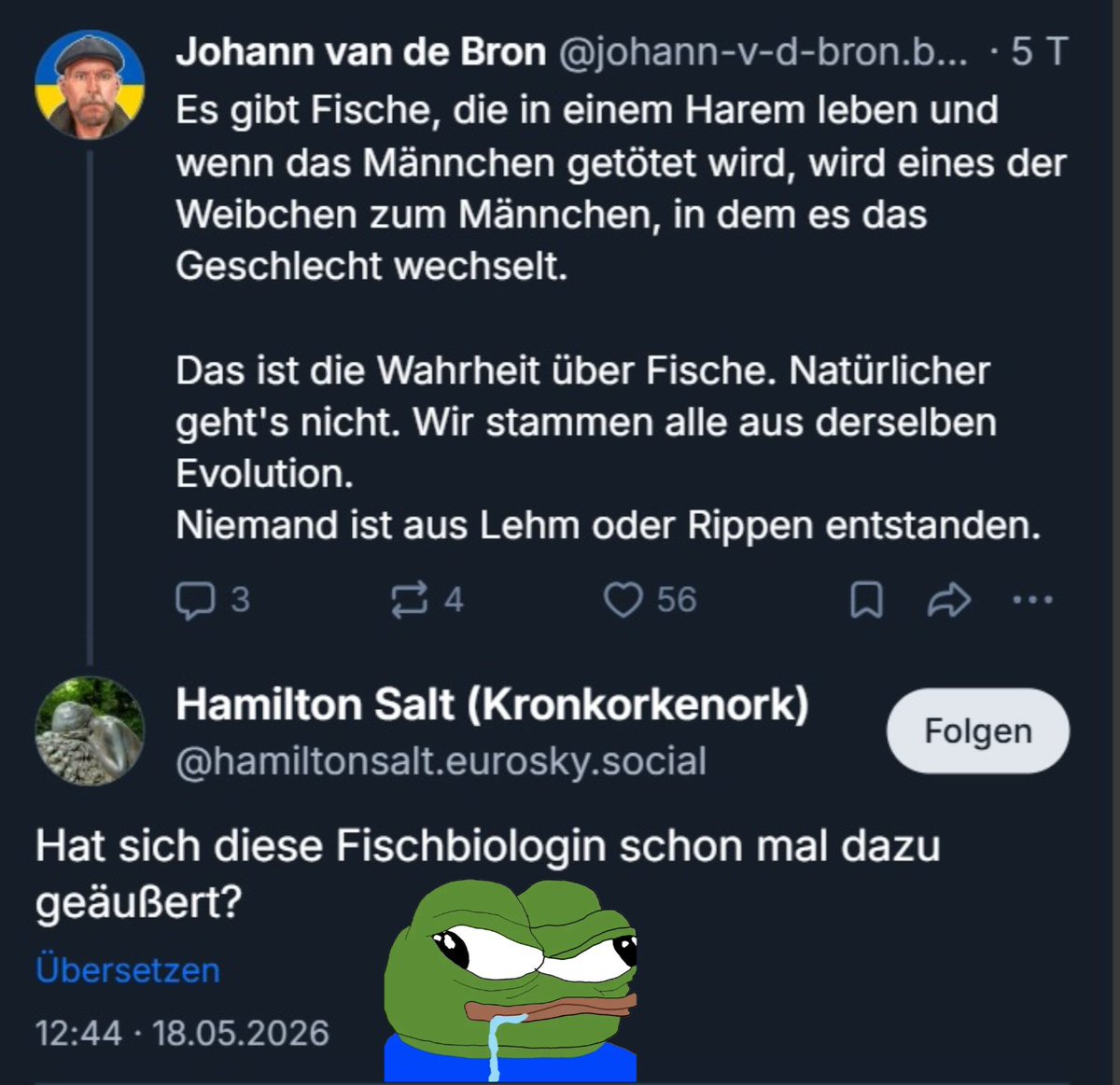 MT aus HB | AG Enbys in der AfD tweet media