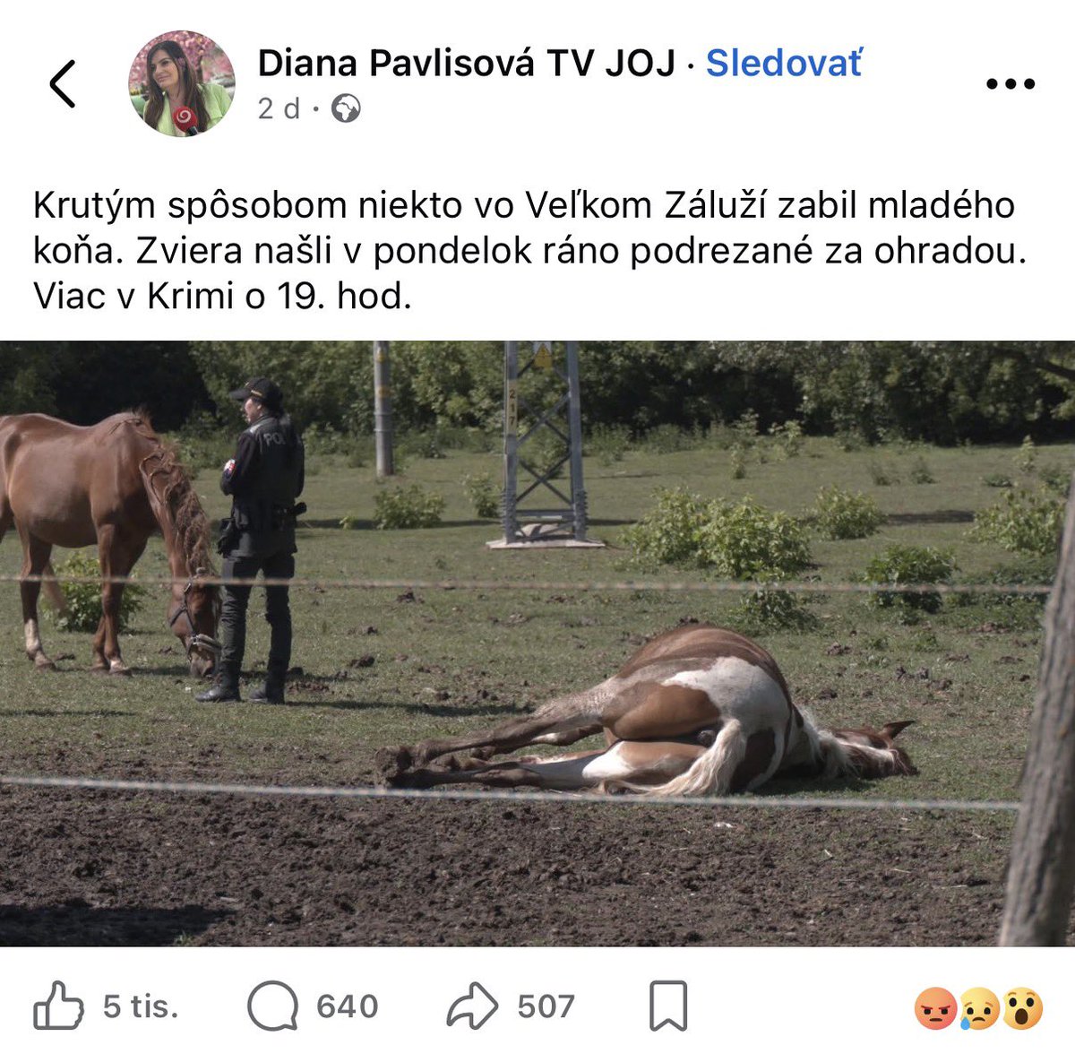 Lukas Rucka tweet media