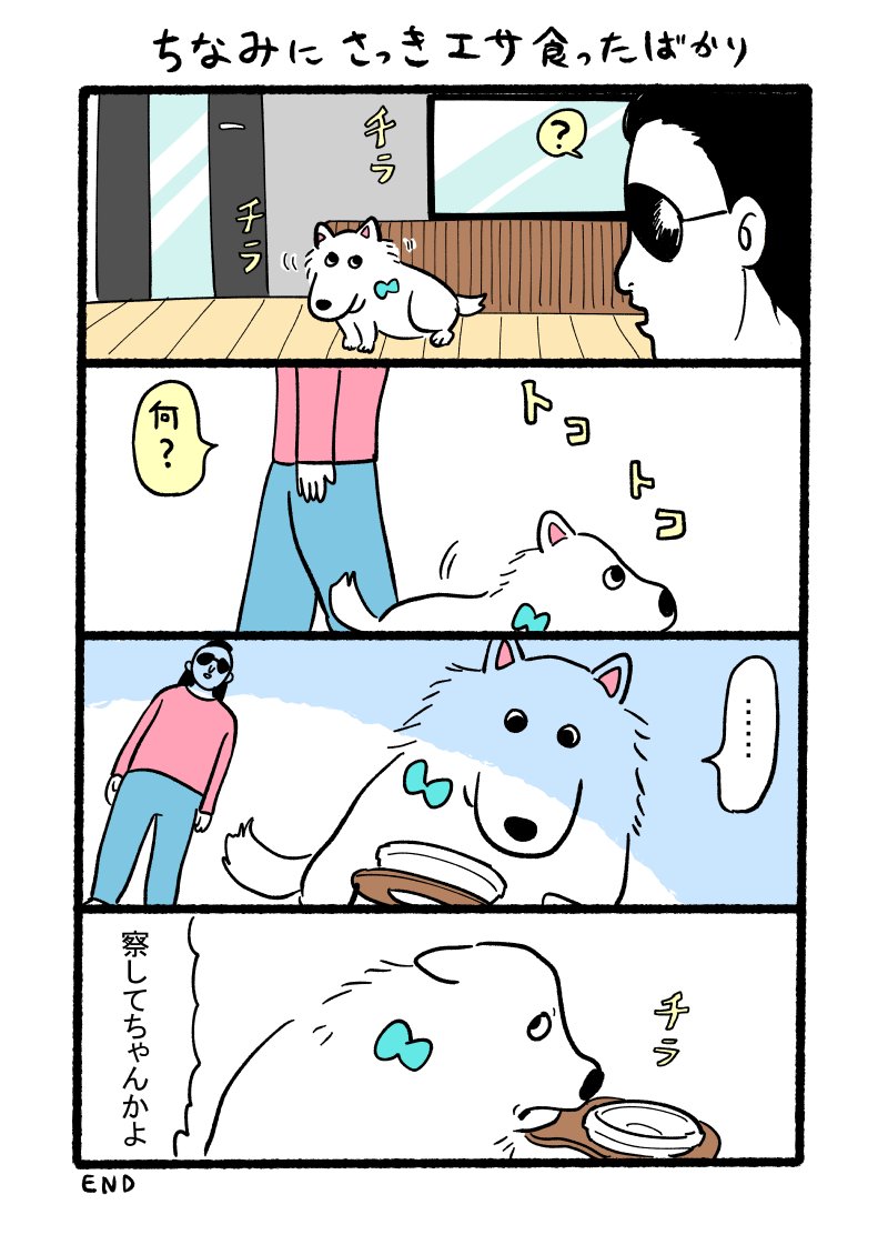 むちゃだよ🐻‍❄️ tweet media