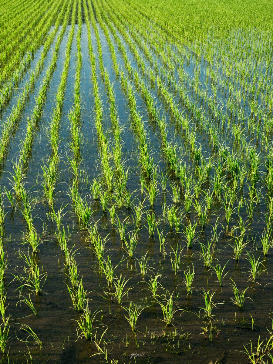 YutoPhotography tweet picture
