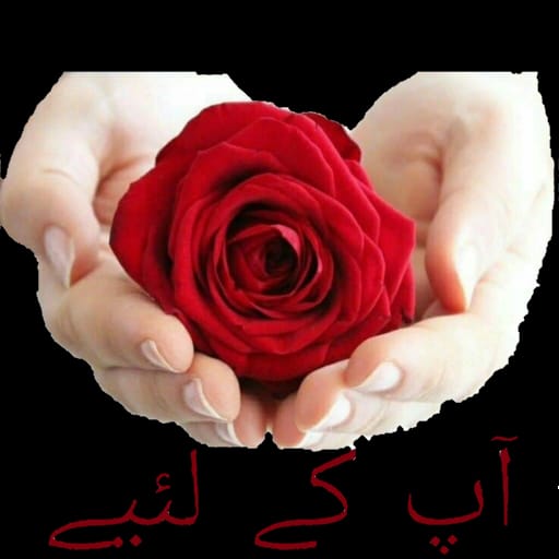 راجہ شاھد رشید tweet media
