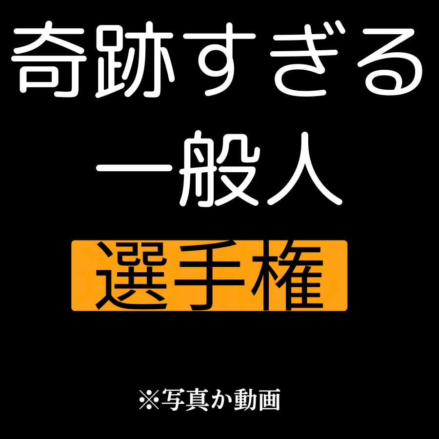 毎日が休日選手権 tweet media