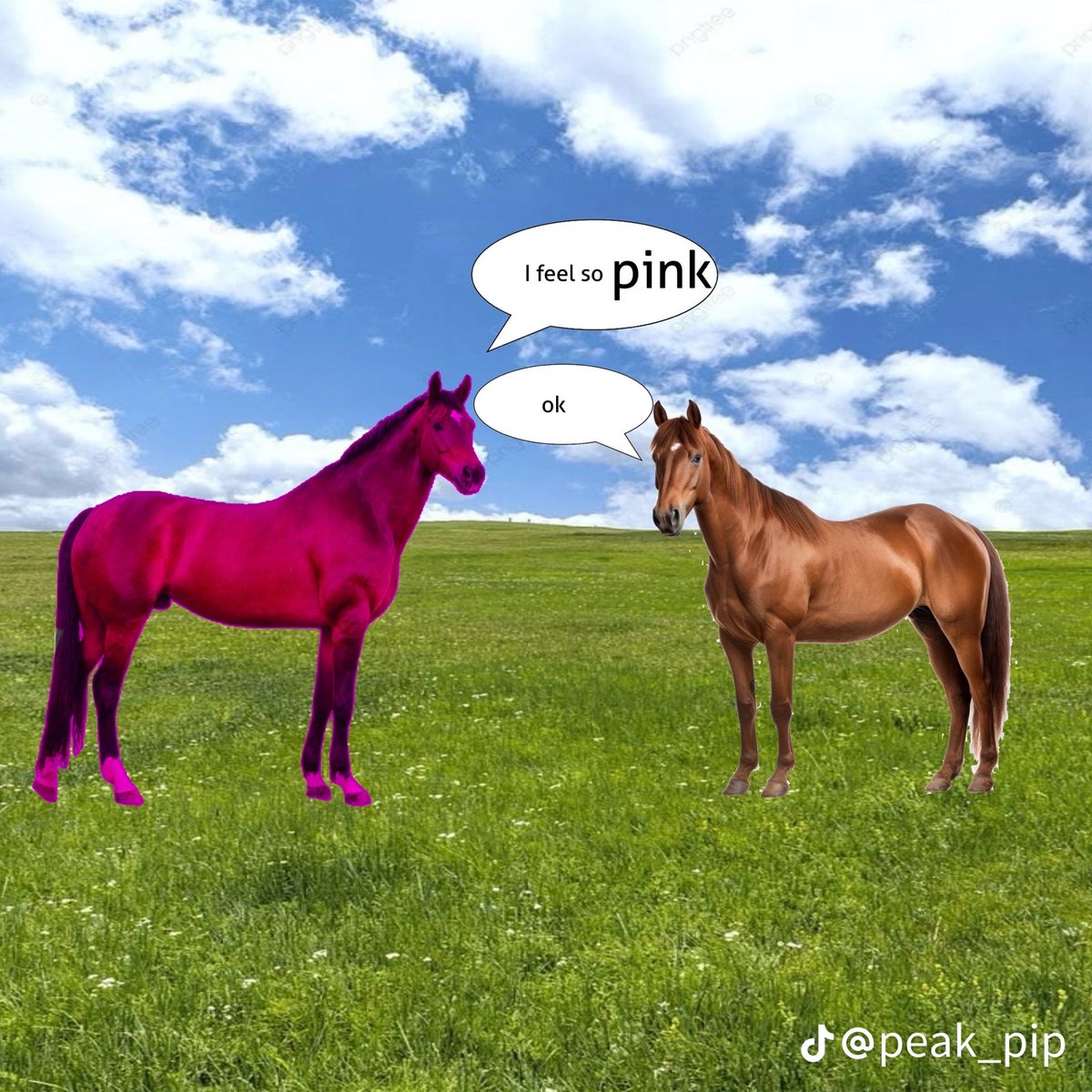 𝑮𝒂𝒍𝒍𝒂𝒈𝒉𝒆𝒓 tweet media